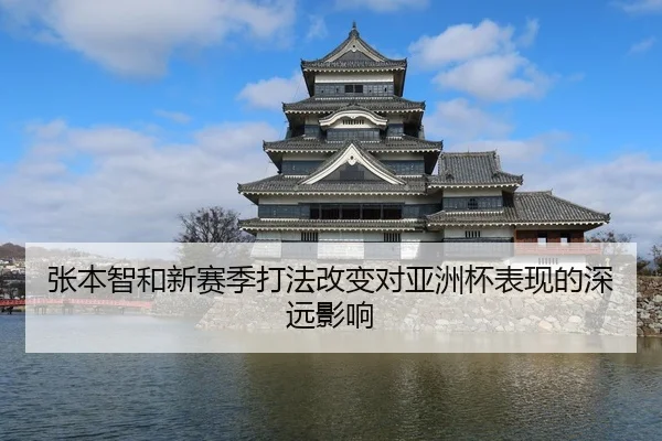 张本智和新赛季打法改变对亚洲杯表现的深远影响